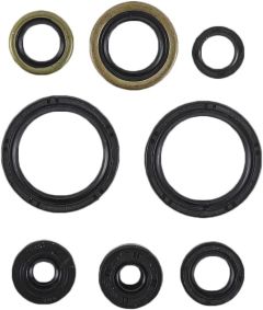 Vertex Oil Seal Set