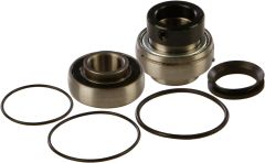 All Balls Chain Case Bearing & Seal Kit