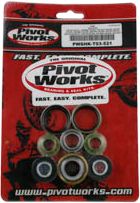 Pivot Works Shock Bearing Kit