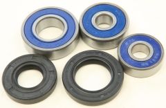 All Balls Rear Wheel Bearing Kit