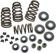 Rocket Cams Beehive Conversion Spring Kit Evo Bt 84-03 .650 Lift