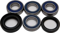 All Balls Wheel Bearing & Seal Kit