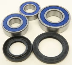 All Balls Rear Wheel Bearing Kit