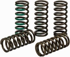 Pro Circuit High Performance Clutch Springs  Acid Concrete