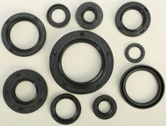 Vertex Oil Seal Set