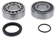 All Balls Jackshaft Bearing & Seal Kit