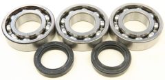 All Balls Crankshaft Bearing/seal Kit