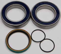 All Balls Chain Case Bearing & Seal Kit