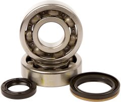 Hot Rods Crank Bearings And Seals Kit