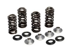 Kpmi Racing Valve Spring Kit Yamaha