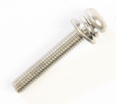 Mikuni Stainless Screw W/2 Washers 30 Mm