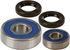 All Balls Rear Wheel Bearing/seal Kit