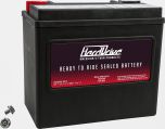 Harddrive Battery Yb16l-b/cl-b 325cca Factory Activated Sealed Agm  Acid Concrete