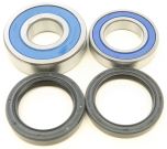 All Balls Rear Wheel Bearing Kit  Acid Concrete