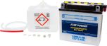 Fire Power Battery W/acid 12n5.5-3b 12v  Alpine White