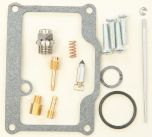 All Balls Carburetor Rebuild Kit  Acid Concrete