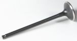 Kpmi Black Diamond Exhaust Valve  Acid Concrete