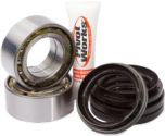 Pivot Works Rear Wheel Bearing Kit