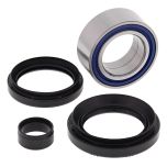 All Balls Wheel Bearing & Seal Kit  Acid Concrete