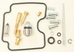 All Balls Carburetor Rebuild Kit  Acid Concrete