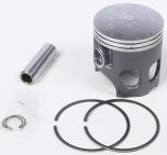 Prox Piston Kit  Acid Concrete