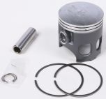 Prox Piston Kit  Acid Concrete