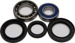 All Balls Wheel Bearing & Seal Kit  Acid Concrete