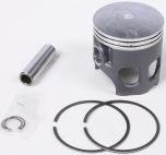 Prox Piston Kit  Acid Concrete