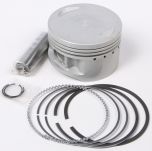 Prox Piston Kit  Acid Concrete