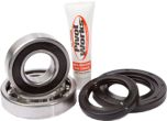 Pivot Works Rear Wheel Bearing Kit  Acid Concrete