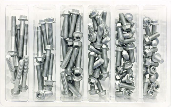 M6 Euro Torx Flange Bolt Assortment 100 Piece Kit  Acid Concrete