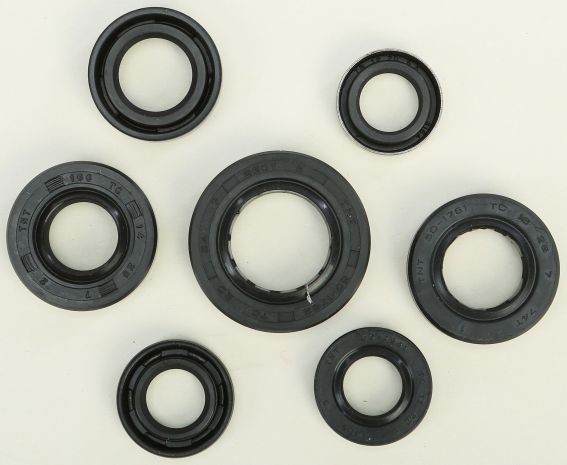 Vertex Oil Seal Set  Acid Concrete