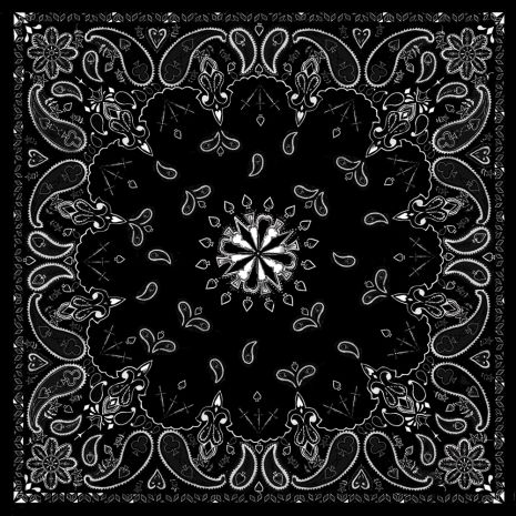 Zan Bandanna Black Paisley  Alpine White