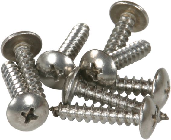 Caliber Trailer Glide Screw Kit 8/pk  Alpine White