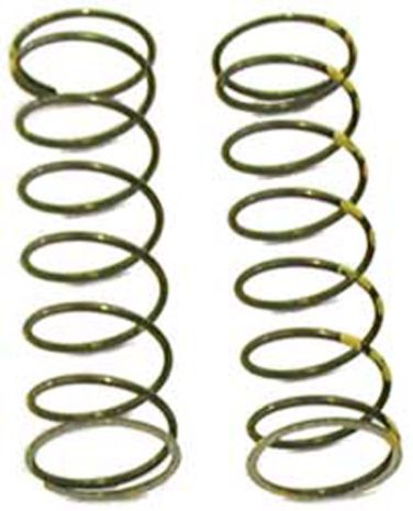 Exhaust Valve Springs For Polaris