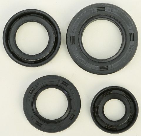 Vertex Oil Seal Set  Acid Concrete