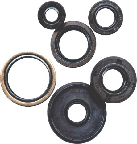 Vertex Oil Seal Set