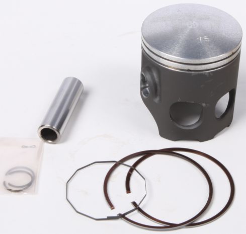 Prox Piston Kit  Acid Concrete