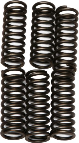 Redline Clutch Springs  Acid Concrete