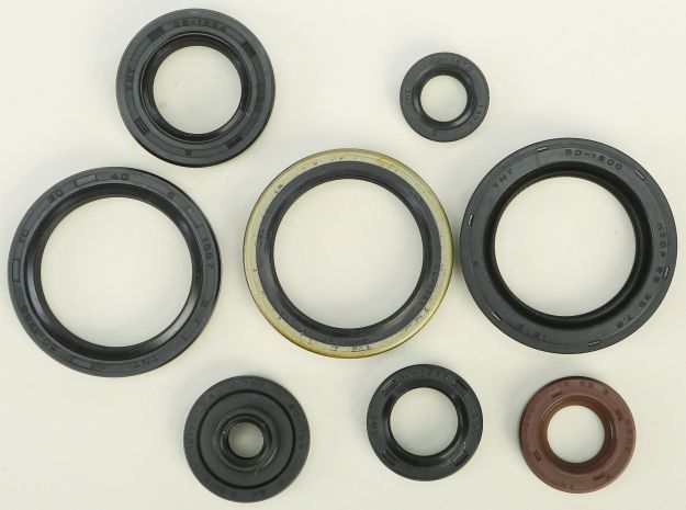 Vertex Oil Seal Set  Acid Concrete