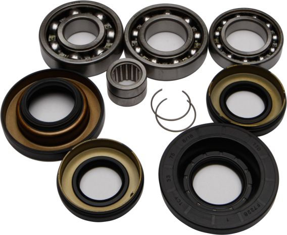 All Balls Rear Differential Bearing And Seal Kit  Acid Concrete