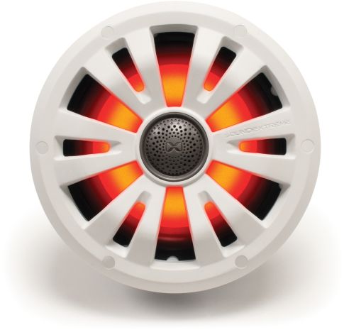 Ecoxgear 6.5" Marine Speaker  Acid Concrete