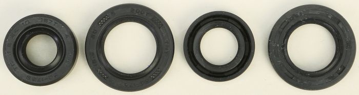 Vertex Oil Seal Set  Acid Concrete