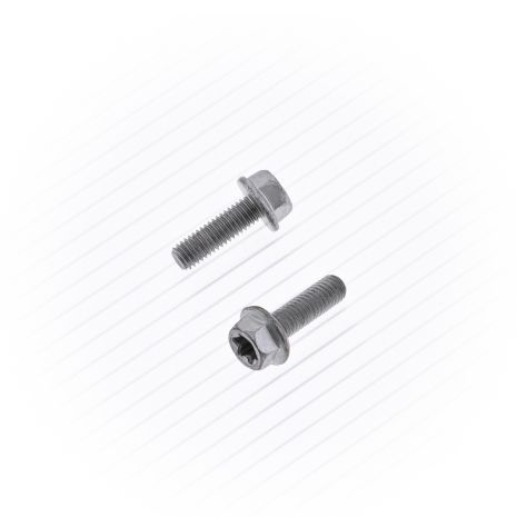 10/pk Euro Flange Bolt 5x16mm  Acid Concrete