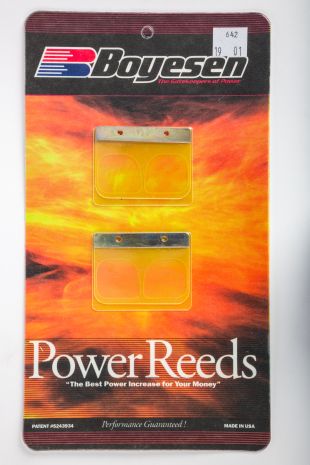 Boyesen Dual Stage Power Reeds  Acid Concrete