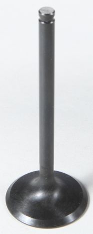 Kpmi Black Diamond Exhaust Valve  Acid Concrete