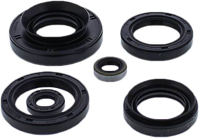 Vertex Oil Seal Set  Acid Concrete