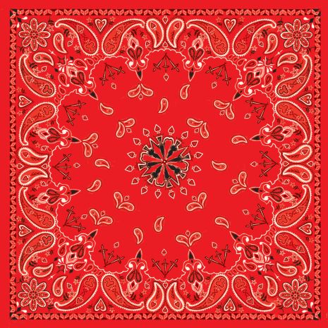 Zan Bandanna Red Paisley  Alpine White