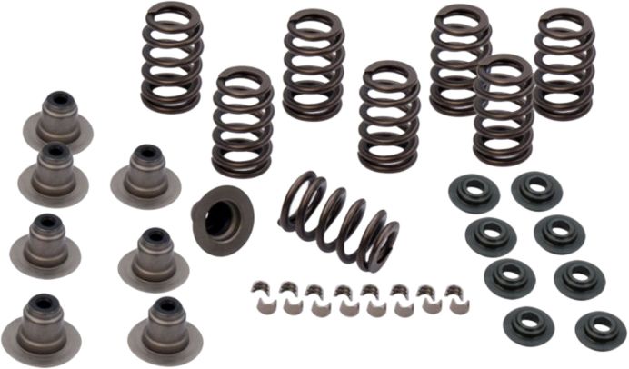 Rocket Cams Spring Kit .600 Lift M8 Models