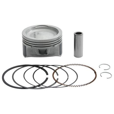 Vertex Piston Kit Cast 79.95/std 10.2:1 Polaris  Acid Concrete